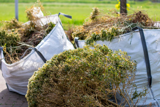 Best Estate Cleanout Services  in Shadybrook, TX